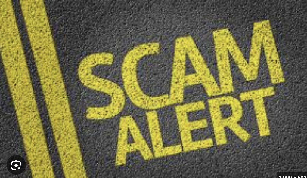Trader.wise-wealth.net Exposed